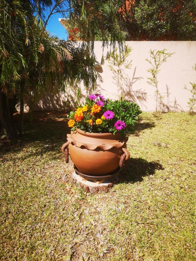 Casa Dos Cedros Otel Lagos Dış mekan fotoğraf